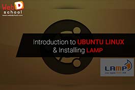 Ubuntu Linux & Lamp Installation