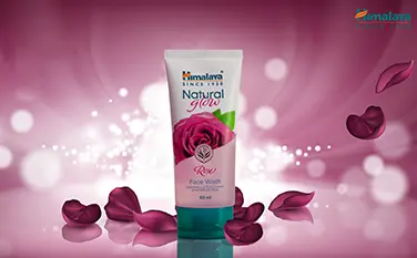 Student Portfolio Gallery | Web D School Projects