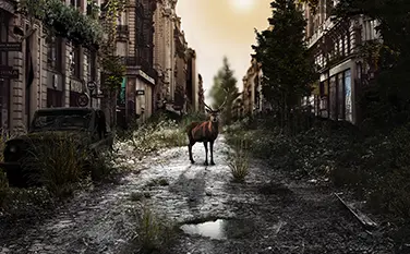 Student Portfolio Gallery | Web D School Projects