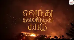 Advanced Graphic Design Course in Chennai | Web D School