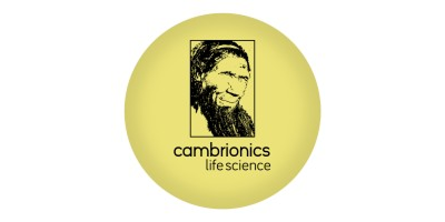 Web D School Placements | Our Student Success Stories