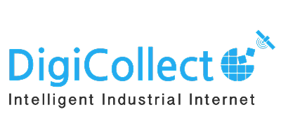 Web D School Placements | Our Student Success Stories