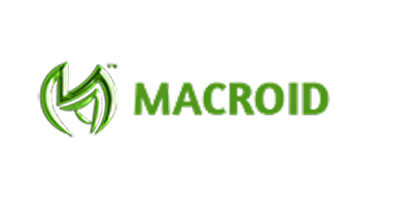 Web D School Placements | Our Student Success Stories