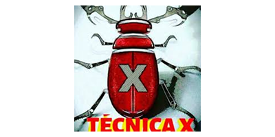 Web D School Placements | Our Student Success Stories