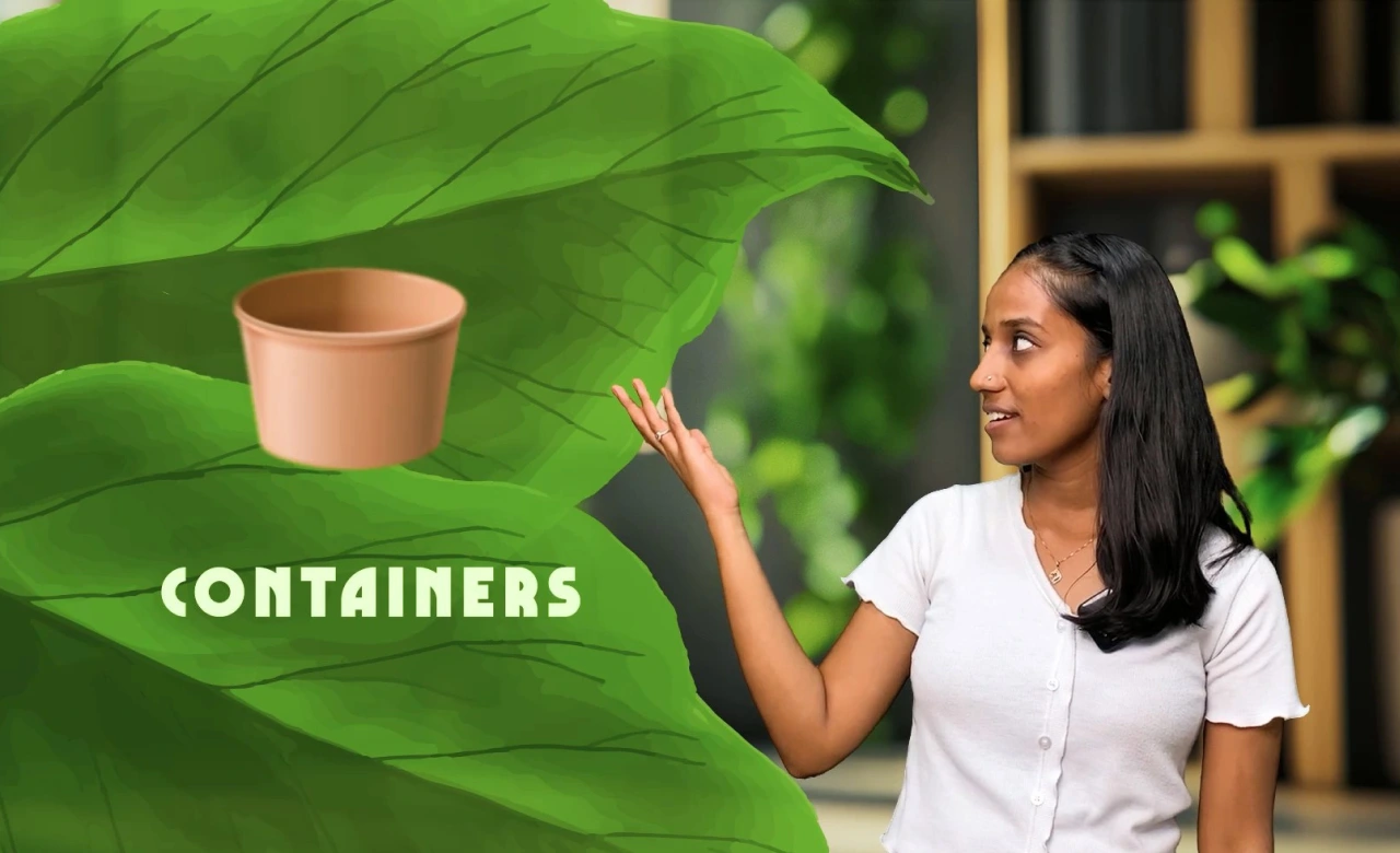 Best Social Media Influencer Marketing Course Chennai | Web D School