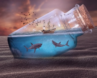 Visual Design Mastery Course in Chennai | Web D School