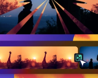 Visual Design Mastery Course in Chennai | Web D School