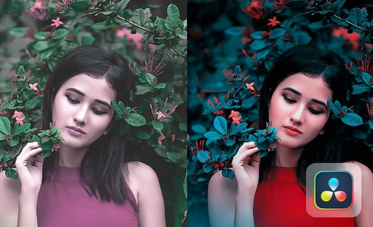 Film Editing Course in Chennai | Learn Motion + VFX | Web D School